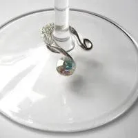 zilveren Wine Charms