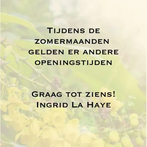 openingstijden tijdens de zomer