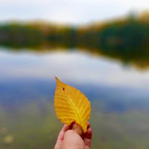 Herfst inspiratie - sieraden