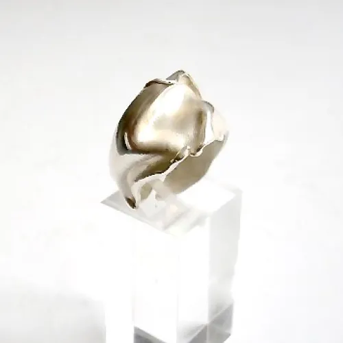La Ruga - Organische unieke ring met sculpturale vorm