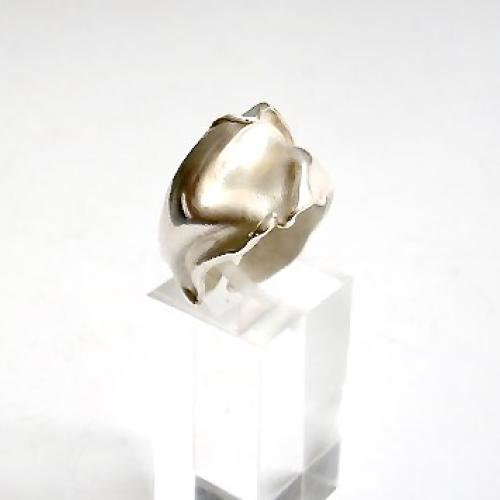 La Ruga - Organische unieke ring met sculpturale vorm