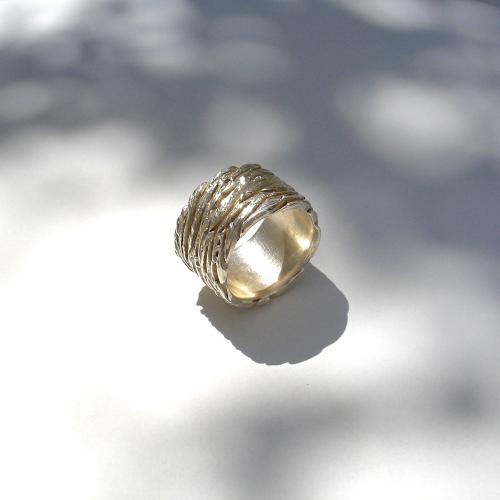 Mozione - Zilveren ring