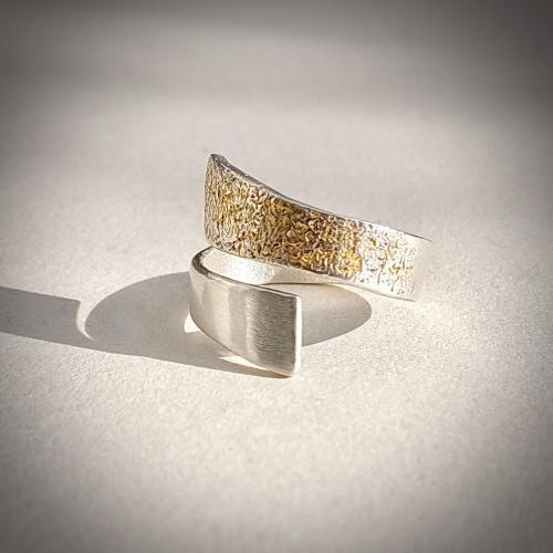 Salto Due - Moderne zilveren design ring met goud