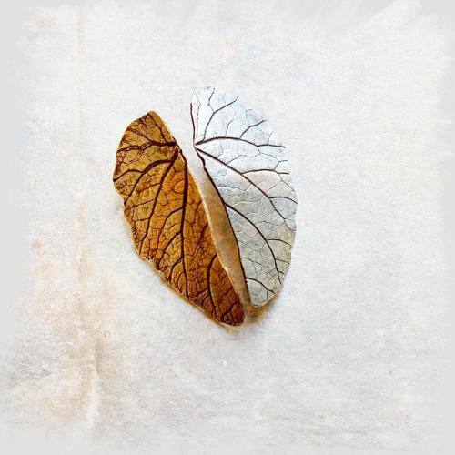 Two of a Kind - Bladvormige oorbellen